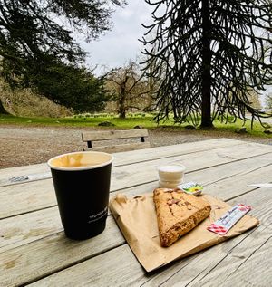   at Joey's Cafe in Ambleside