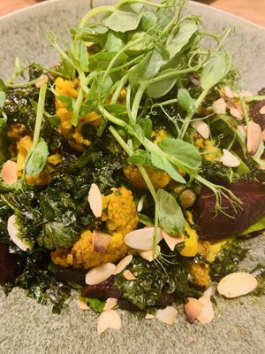 The Potting Shed ‘Revitalise Bowl' at Crimple Hall Garden Centre in Harrogate