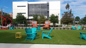 Lawn area at Plantology in Gainesville