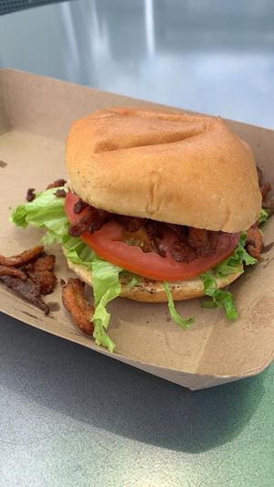 Buffalo ranch chicken burger at Plantology in Gainesville