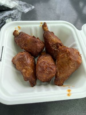   at Plantology in Gainesville