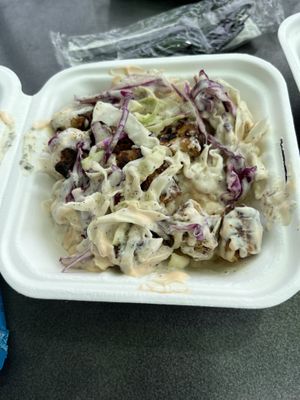   at Plantology in Gainesville