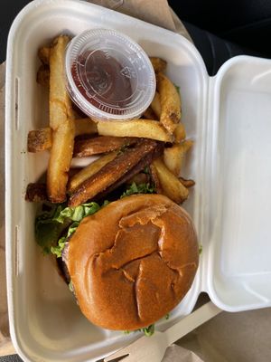   at Plantology in Gainesville