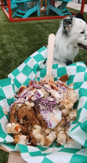 everything mac  at Plantology in Gainesville