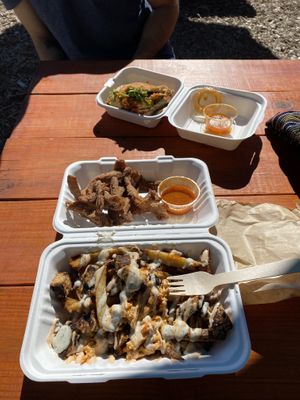   at Plantology in Gainesville