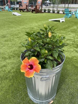 Cute location  at Plantology in Gainesville