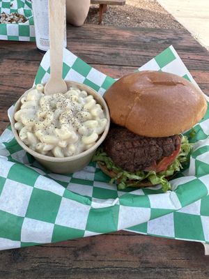 Chicken sandwhich with a side of Mac   at Plantology in Gainesville