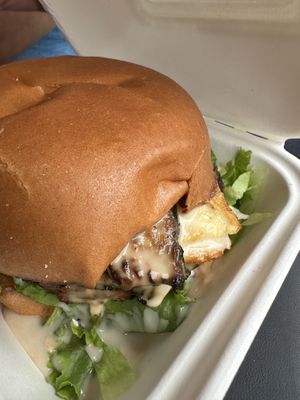   at Plantology in Gainesville