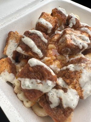   at Plantology in Gainesville