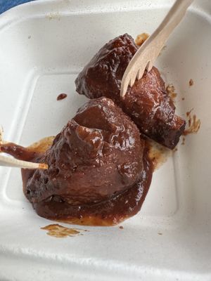   at Plantology in Gainesville