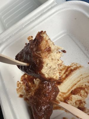   at Plantology in Gainesville