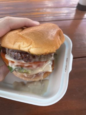   at Plantology in Gainesville