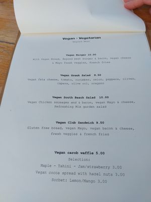 Vegan menu at Cantina del Mar in Ios