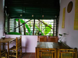 Nhìn ra vườn chuối thật bình yên at May Trang - White Cloud in Hanoi