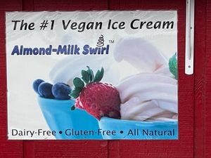 Non-dairy Soft-serve vegan ice cream  at Fast Eddie's in Brattleboro