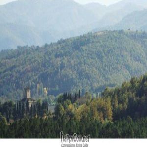 Monte Rognosi Nature Reserve: Good walking neat Tenuta Savorgnano at Tenuta Savorgnano in Anghiari