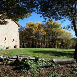Tenuta Savorgnano at Tenuta Savorgnano in Anghiari