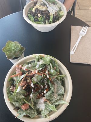   at Rock n Roots in Williston Park