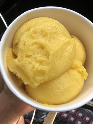 Mango pineapple sorbet (large) 
  at Rock n Roots in Williston Park