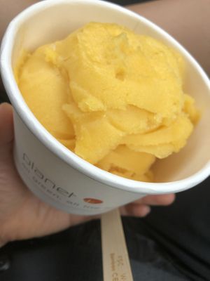 
Mango pineapple sorbet (large) 
  at Rock n Roots in Williston Park