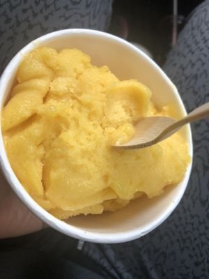 Mango pineapple sorbet large   at Rock n Roots in Williston Park