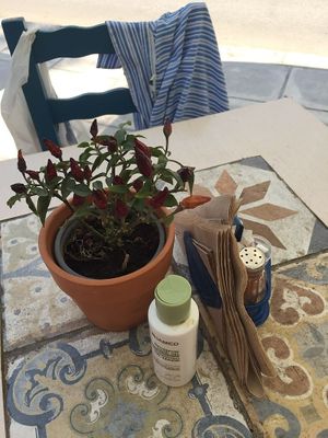 the outdoor tables at Mandaloun in Nafplion