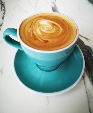 Oat Flat White at The Naked Bean Coffee Roasters in Albany