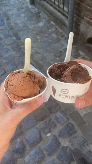 Vegan chocolate hazelnut ice cream
with chocolate pieces and whole hazelnuts in it and vegan dark chocolate ice cream  at Marilia in Durbuy