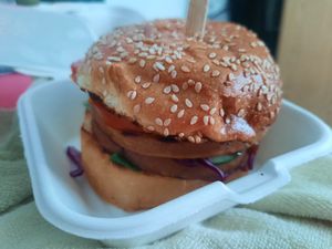  at Feel Green in Split