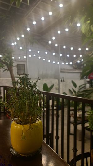 Cozy, comfy location at Peanuts in Hoi An