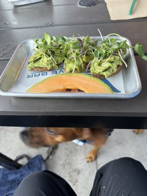 Yummy avocado toast on the patio   at Alua's Thrive Bar in Mount Shasta