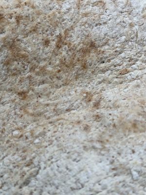 Lebanese Flat Bread  at Dabka in Amsterdam