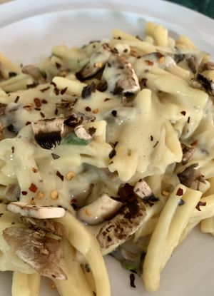 Pasta Alfredo (cream sauce made with white beans)  at Vegan Pizzeria in San Juan