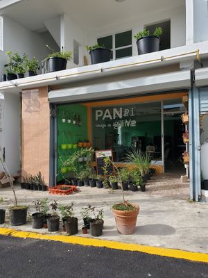 Así se vé el local de la pizzería Ⓥegana at Vegan Pizzeria in San Juan