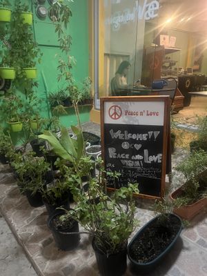 Garden outside   at Vegan Pizzeria in San Juan