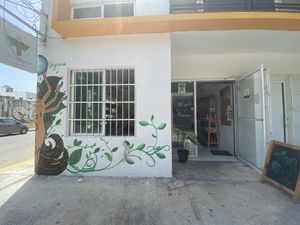 Entrance  at Diosa Vegana in Playa Del Carmen