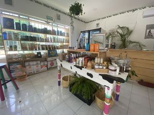 Wellness -, Beauty products & Vegan Protein  at Diosa Vegana in Playa Del Carmen