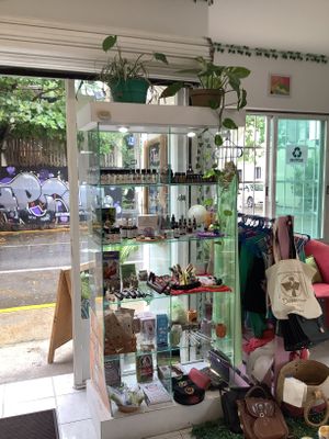 Al types of Oli and magic crystals  #Veganuary at Diosa Vegana in Playa Del Carmen