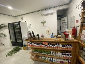   at Diosa Vegana in Playa Del Carmen