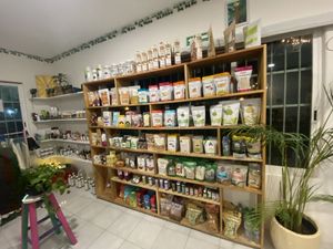   at Diosa Vegana in Playa Del Carmen