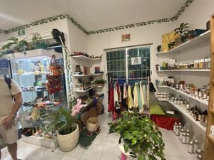   at Diosa Vegana in Playa Del Carmen