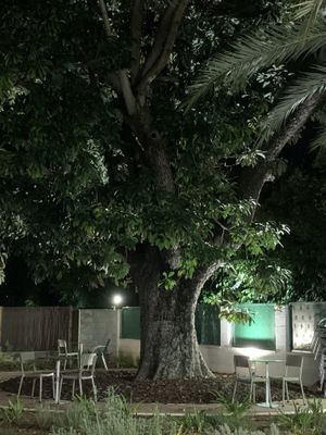 De tuin at Luleå in Alicante