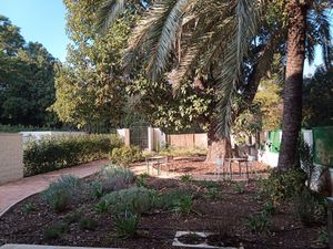 Garden for outdoor dining #Veganuary at Luleå in Alicante