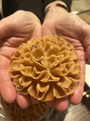   at Charming Elephant in Baltimore