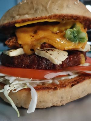 Savage Vegan  at Vegan Noise in San Jose