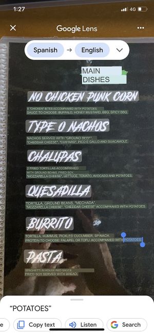 Menu in English   at Vegan Noise in San Jose