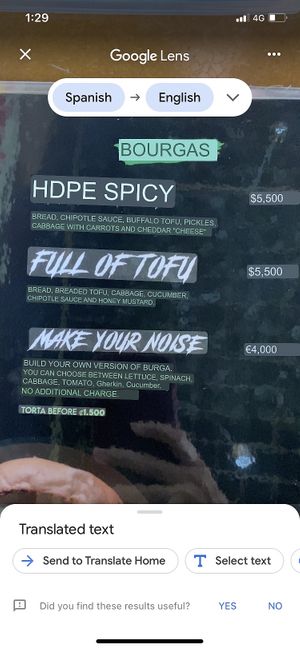   at Vegan Noise in San Jose