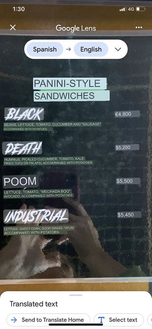   at Vegan Noise in San Jose