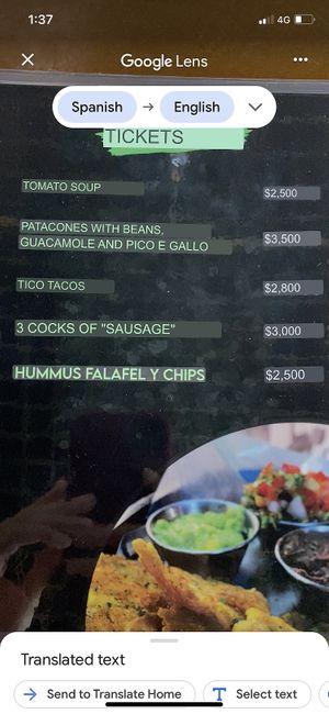   at Vegan Noise in San Jose