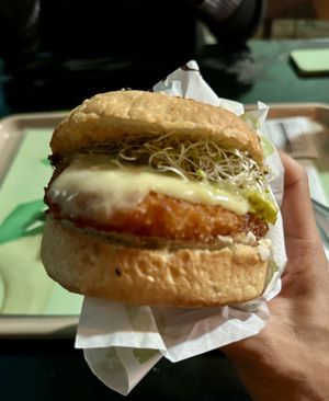   at Kairú in Florianopolis